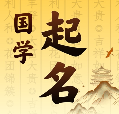 凤泉国学起名 人工起名一对一